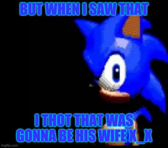 BUT WHEN I SAW THAT I THOT THAT WAS GONNA BE HIS WIFE X_X | image tagged in sonic stares | made w/ Imgflip meme maker