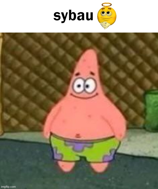 sybau | sybau | image tagged in sybau | made w/ Imgflip meme maker
