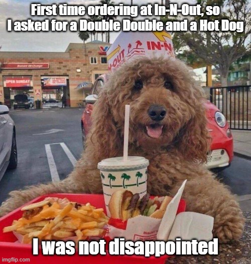 In-N-Out Dog | First time ordering at In-N-Out, so I asked for a Double Double and a Hot Dog; I was not disappointed | image tagged in cheeseburger,doggo,hottie | made w/ Imgflip meme maker