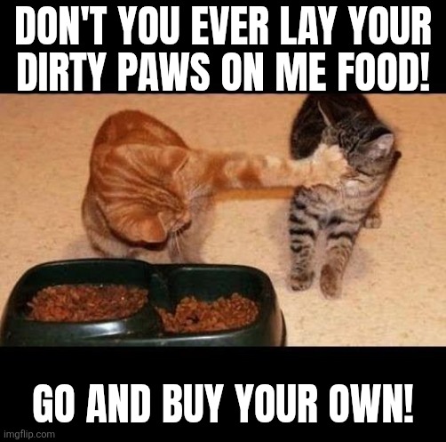lmao | DON'T YOU EVER LAY YOUR
DIRTY PAWS ON ME FOOD! GO AND BUY YOUR OWN! | image tagged in cats share food | made w/ Imgflip meme maker