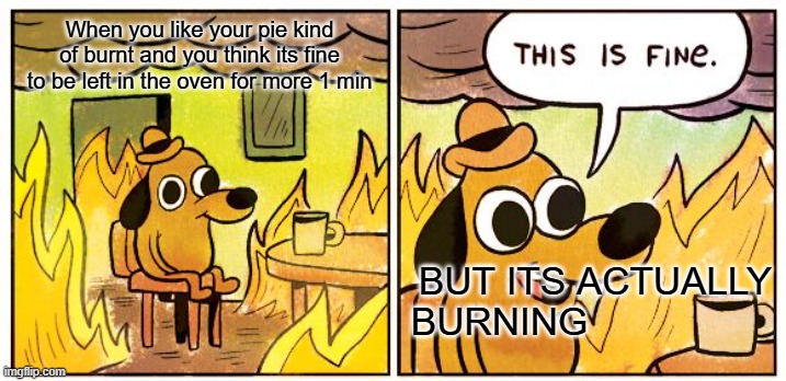 This Is Fine | When you like your pie kind of burnt and you think its fine to be left in the oven for more 1 min; BUT ITS ACTUALLY BURNING | image tagged in memes,this is fine | made w/ Imgflip meme maker