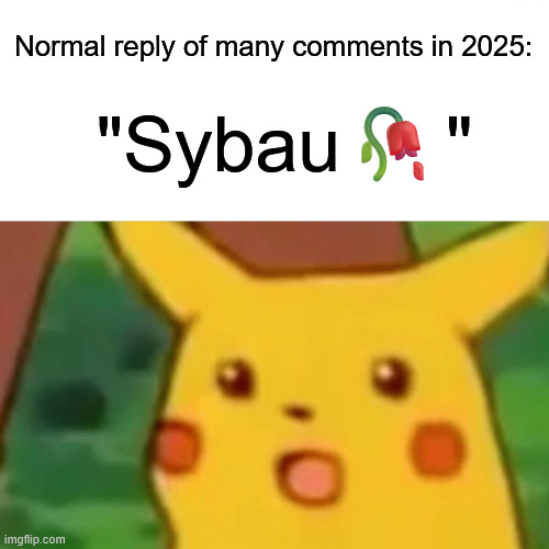Bro stop using "Sybau?" | "Sybau🥀"; Normal reply of many comments in 2025: | image tagged in memes,surprised pikachu | made w/ Imgflip meme maker