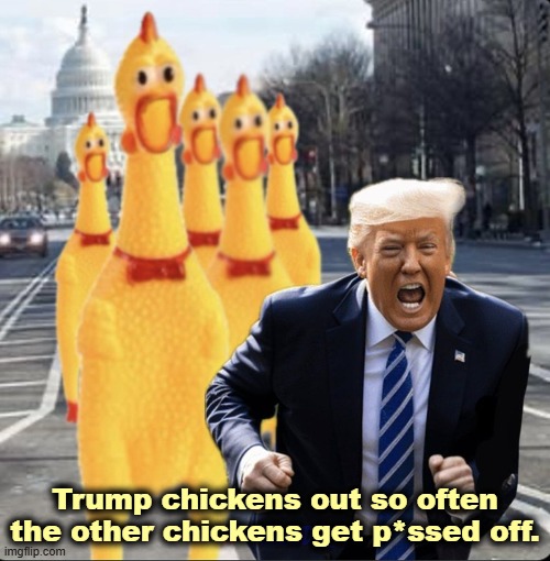 Trump chickens out so often, the other chickens get pissed off. | Trump chickens out so often the other chickens get p*ssed off. | image tagged in trump chickens out so often the other chickens get pissed off,trump,chickens,weak,failur,loser | made w/ Imgflip meme maker