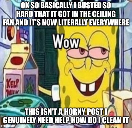 Wow bob | OK SO BASICALLY I BUSTED SO HARD THAT IT GOT IN THE CEILING FAN AND IT'S NOW LITERALLY EVERYWHERE; THIS ISN'T A HORNY POST I GENUINELY NEED HELP HOW DO I CLEAN IT | image tagged in wow bob | made w/ Imgflip meme maker
