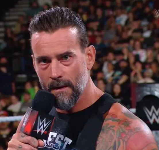 High Quality CM Punk Blank Meme Template
