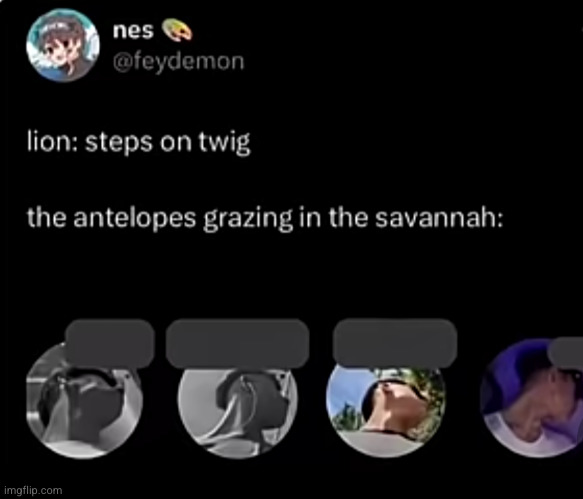 . | image tagged in antelope,funny,deer | made w/ Imgflip meme maker