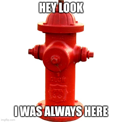 Fire hydrant  | HEY LOOK I WAS ALWAYS HERE | image tagged in fire hydrant | made w/ Imgflip meme maker