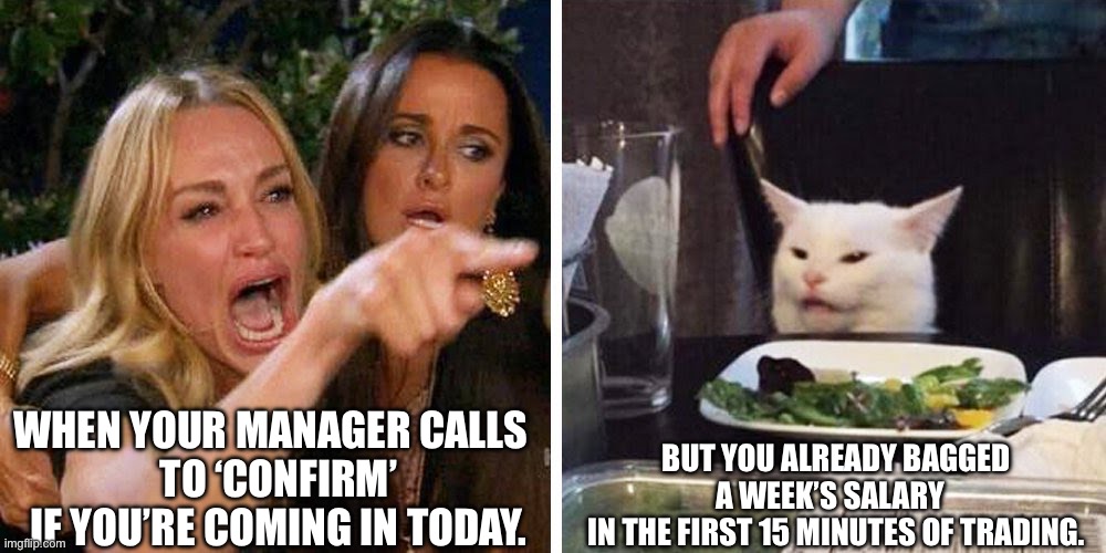 Smudge the cat | WHEN YOUR MANAGER CALLS  
TO ‘CONFIRM’ IF YOU’RE COMING IN TODAY. BUT YOU ALREADY BAGGED A WEEK’S SALARY  
IN THE FIRST 15 MINUTES OF TRADING. | image tagged in smudge the cat | made w/ Imgflip meme maker
