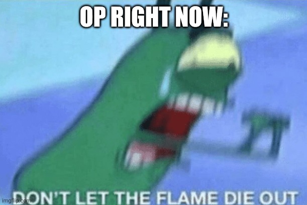 DON’T LET THE FLAME DIE OUT | OP RIGHT NOW: | image tagged in don t let the flame die out | made w/ Imgflip meme maker
