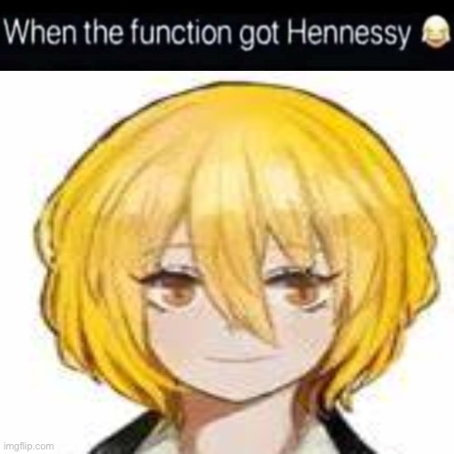 da function got hennessy | image tagged in da function got hennessy | made w/ Imgflip meme maker