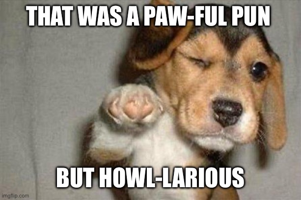 Awesome Dog | THAT WAS A PAW-FUL PUN; BUT HOWL-LARIOUS | image tagged in awesome dog | made w/ Imgflip meme maker