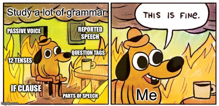 Drowning in the grammar fire | Study a lot of grammar; PASSIVE VOICE; REPORTED SPEECH; QUESTION TAGS; 12 TENSES; IF CLAUSE; Me; PARTS OF SPEECH | image tagged in memes,this is fine | made w/ Imgflip meme maker