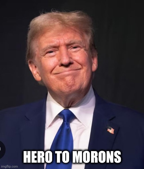 Hero | HERO TO MORONS | image tagged in maga | made w/ Imgflip meme maker