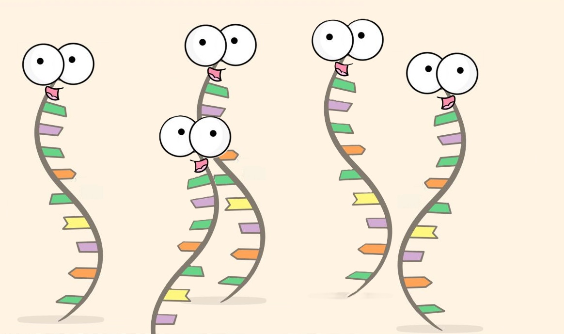rna doodle Blank Meme Template