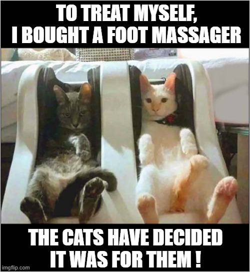 They Always Win ! | TO TREAT MYSELF, I BOUGHT A FOOT MASSAGER; THE CATS HAVE DECIDED
IT WAS FOR THEM ! | image tagged in cats,massager | made w/ Imgflip meme maker