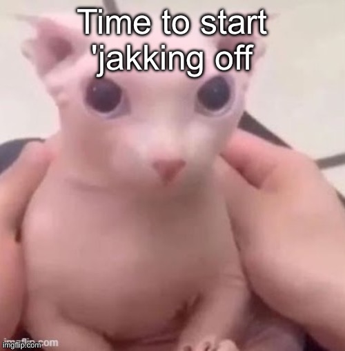 bingus | Time to start 'jakking off | image tagged in bingus | made w/ Imgflip meme maker