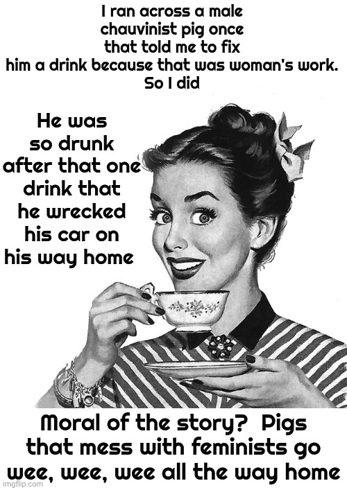 Anyone That Thinks Women Are Here To Service Men Is Dumber Than A Box Of Rocks | I ran across a male chauvinist pig once that told me to fix him a drink because that was woman's work.
So I did; He was so drunk after that one drink that he wrecked his car on his way home; Moral of the story?  Pigs that mess with feminists go wee, wee, wee all the way home | image tagged in retro woman teacup,male chauvinistic pig,chauvinists,grow up,wake up,memes | made w/ Imgflip meme maker
