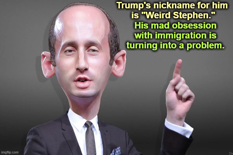 Trump's nickname for him 
is "Weird Stephen."; His mad obsession with immigration is turning into a problem. | image tagged in trump,stephen miller,insane,immigration,problem | made w/ Imgflip meme maker