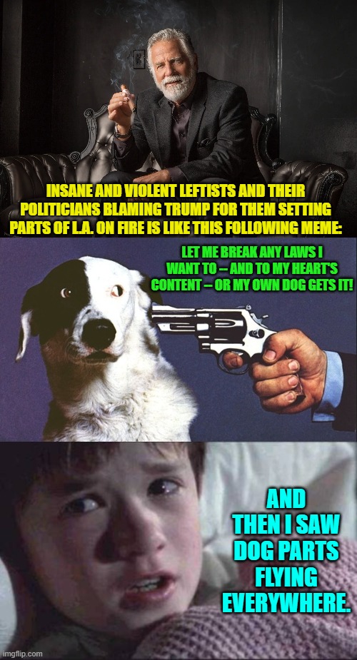 Yeah . . . pretty much like that. | INSANE AND VIOLENT LEFTISTS AND THEIR POLITICIANS BLAMING TRUMP FOR THEM SETTING PARTS OF L.A. ON FIRE IS LIKE THIS FOLLOWING MEME:; LET ME BREAK ANY LAWS I WANT TO -- AND TO MY HEART'S CONTENT -- OR MY OWN DOG GETS IT! AND THEN I SAW DOG PARTS FLYING EVERYWHERE. | image tagged in yep | made w/ Imgflip meme maker