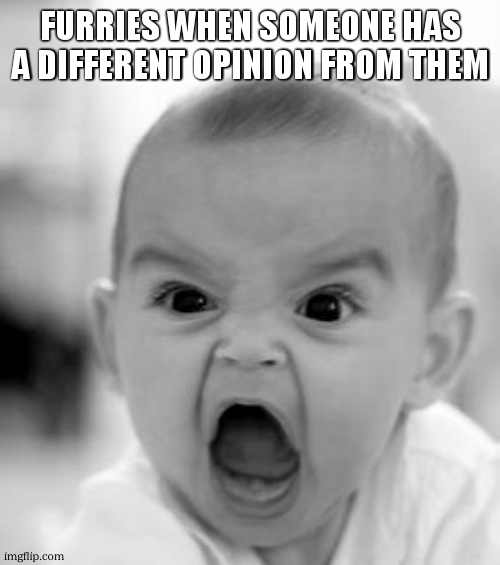 Angry Baby Meme | FURRIES WHEN SOMEONE HAS A DIFFERENT OPINION FROM THEM | image tagged in memes,angry baby | made w/ Imgflip meme maker