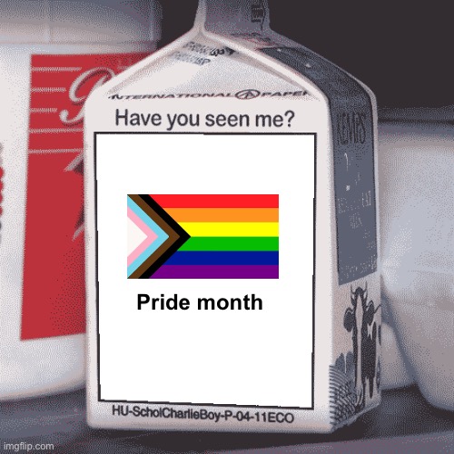 No kings :) | Pride month | image tagged in missing person,politics lol,memes | made w/ Imgflip meme maker
