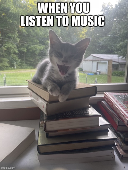 When you listen to music | WHEN YOU LISTEN TO MUSIC | image tagged in when you listen to music | made w/ Imgflip meme maker