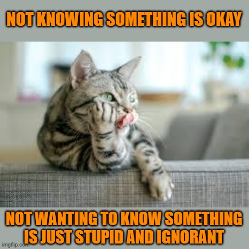 This #lolcat wonders why hoo-mens choose to be stupid | NOT KNOWING SOMETHING IS OKAY; NOT WANTING TO KNOW SOMETHING
IS JUST STUPID AND IGNORANT | image tagged in stupid people,ignorant,lolcat | made w/ Imgflip meme maker