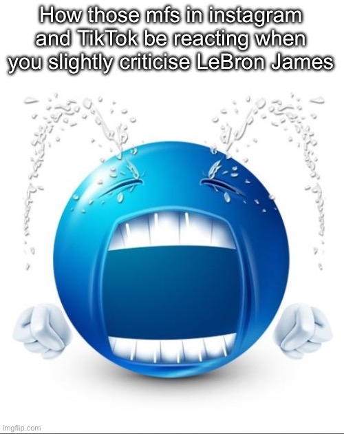 Crying Blue guy | How those mfs in instagram and TikTok be reacting when you slightly criticise LeBron James | image tagged in crying blue guy,msmg | made w/ Imgflip meme maker