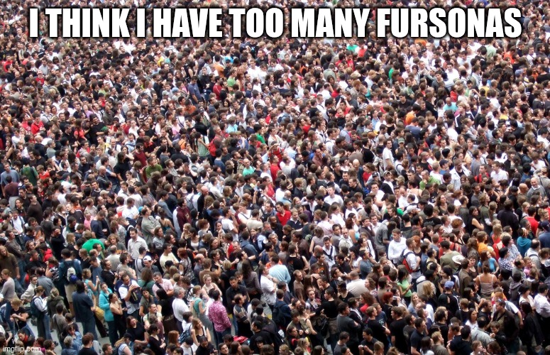crowd of people | I THINK I HAVE TOO MANY FURSONAS | image tagged in crowd of people,fursona,too many | made w/ Imgflip meme maker