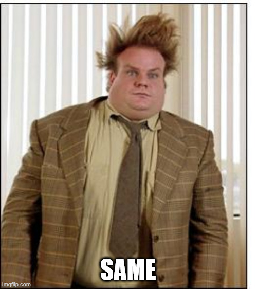 Chris Farley Hair | SAME | image tagged in chris farley hair | made w/ Imgflip meme maker