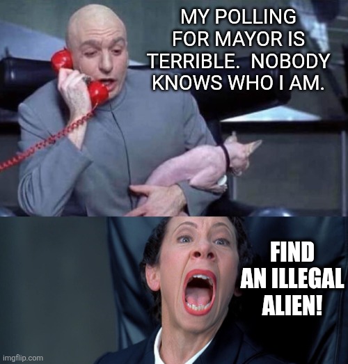 comptroller?  i barely know 'er! | MY POLLING FOR MAYOR IS TERRIBLE.  NOBODY KNOWS WHO I AM. FIND AN ILLEGAL ALIEN! | image tagged in dr evil and frau | made w/ Imgflip meme maker
