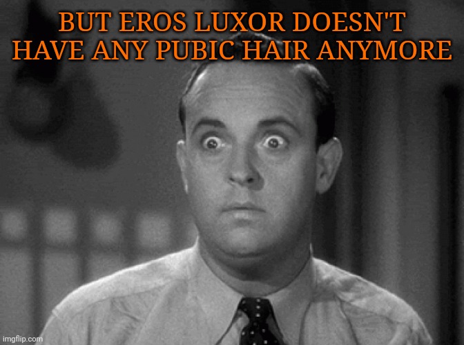 shocked face | BUT EROS LUXOR DOESN'T HAVE ANY PUBIC HAIR ANYMORE | image tagged in shocked face | made w/ Imgflip meme maker