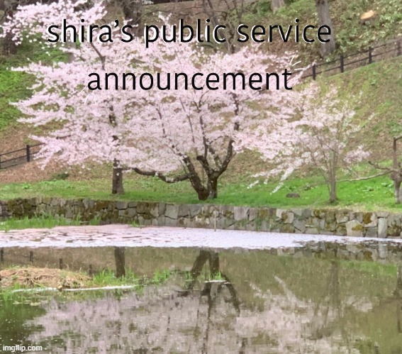 shira’s PSA | image tagged in shira s psa | made w/ Imgflip meme maker