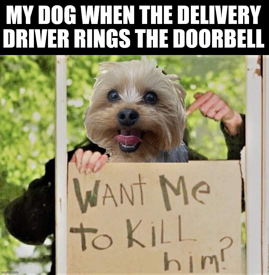 Angry dog | MY DOG WHEN THE DELIVERY DRIVER RINGS THE DOORBELL | image tagged in dogs | made w/ Imgflip meme maker