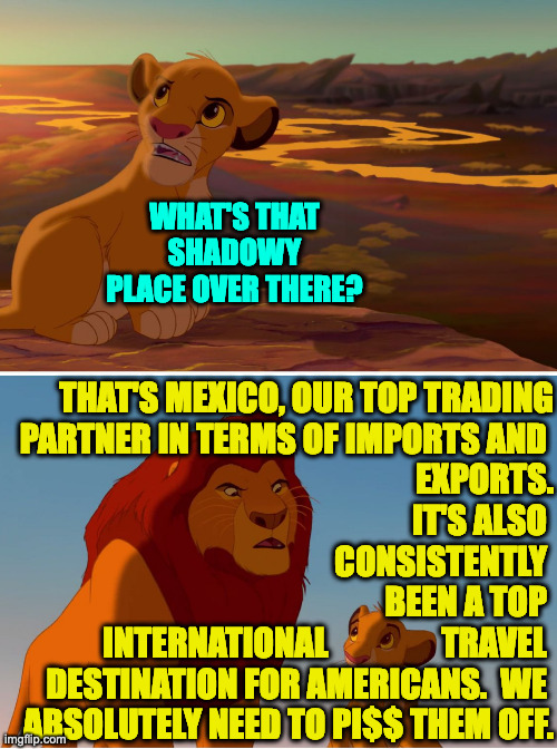 WHAT'S THAT SHADOWY PLACE OVER THERE? THAT'S MEXICO, OUR TOP TRADING
PARTNER IN TERMS OF IMPORTS AND 
EXPORTS.
IT'S ALSO 
CONSISTENTLY 
BEEN | made w/ Imgflip meme maker