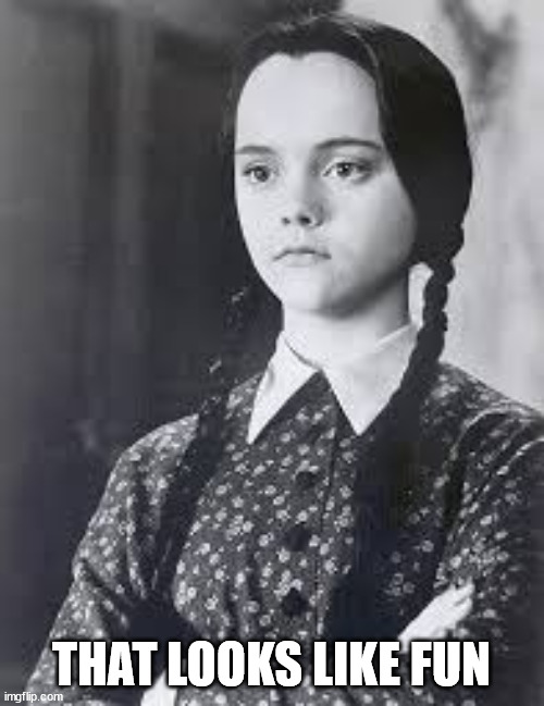 Wednesday Addams | THAT LOOKS LIKE FUN | image tagged in wednesday addams | made w/ Imgflip meme maker