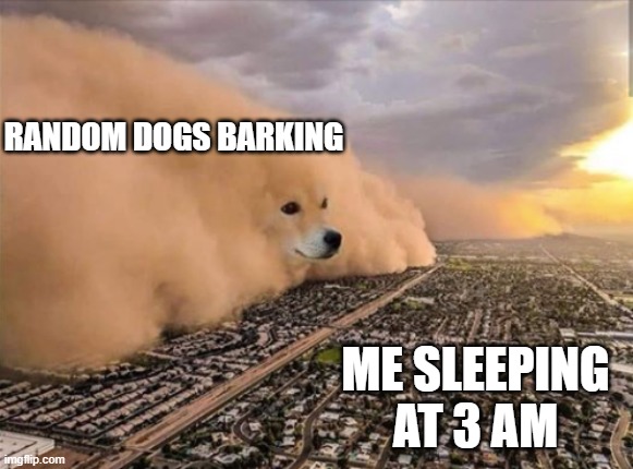 they be so loud fr | RANDOM DOGS BARKING; ME SLEEPING AT 3 AM | image tagged in dust doge storm,memes | made w/ Imgflip meme maker