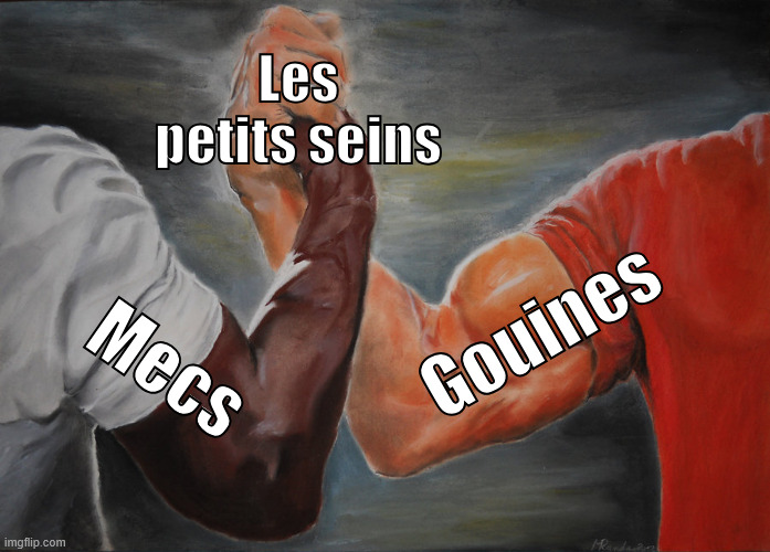 Epic Handshake Meme | Les petits seins; Gouines; Mecs | image tagged in memes,epic handshake | made w/ Imgflip meme maker