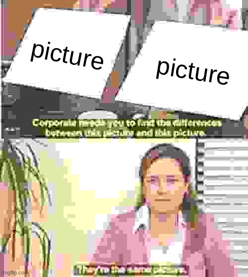 They're The Same Picture | picture; picture | image tagged in memes,they're the same picture | made w/ Imgflip meme maker