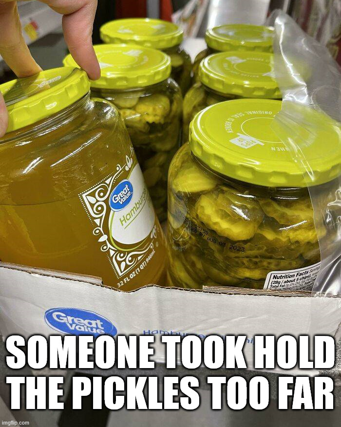 Hold the pickles please | SOMEONE TOOK HOLD THE PICKLES TOO FAR | image tagged in you had one job | made w/ Imgflip meme maker
