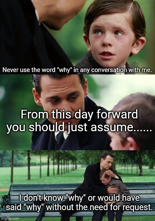 Why not? | Never use the word "why" in any conversation with me. From this day forward you should just assume...... I don't know "why" or would have said "why" without the need for request. | image tagged in memes,finding neverland,why not | made w/ Imgflip meme maker