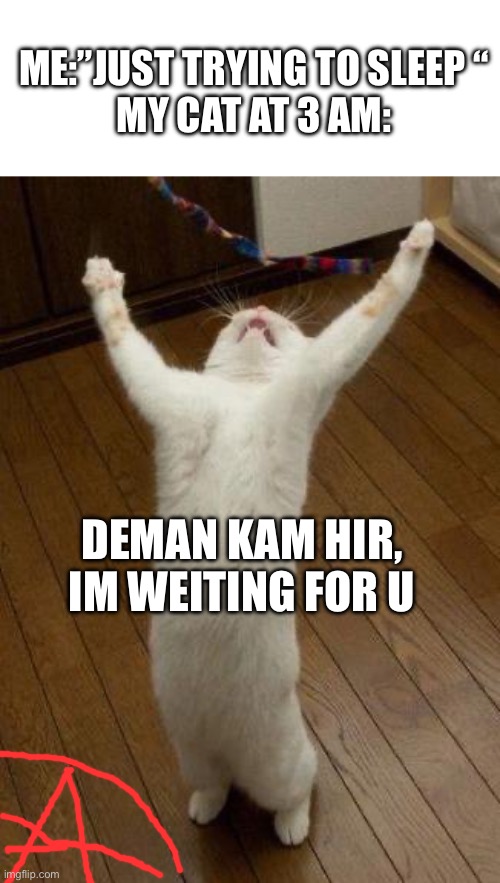 Life | ME:”JUST TRYING TO SLEEP “
MY CAT AT 3 AM:; DEMAN KAM HIR, IM WEITING FOR U | image tagged in evil cat,cat,life | made w/ Imgflip meme maker