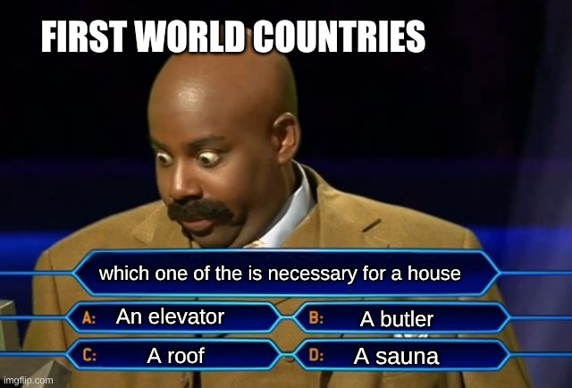 Who wants to be a millionaire? | FIRST WORLD COUNTRIES; which one of the is necessary for a house; An elevator; A butler; A sauna; A roof | image tagged in who wants to be a millionaire | made w/ Imgflip meme maker