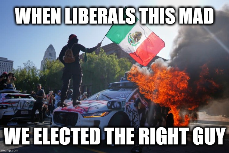 ICE ICE BABY | WHEN LIBERALS THIS MAD; WE ELECTED THE RIGHT GUY | made w/ Imgflip meme maker