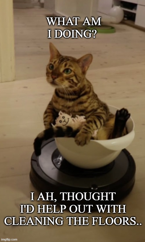 Housework | image tagged in cats,cat,funny cats,housework,funny cat memes | made w/ Imgflip meme maker