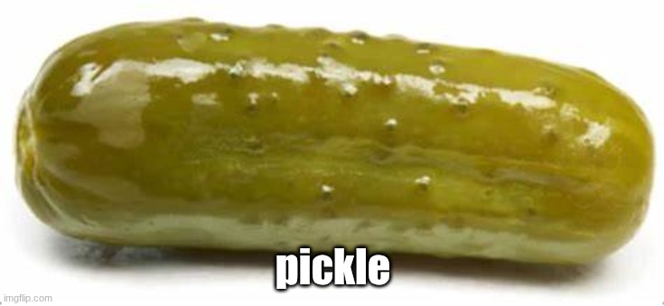pickle | pickle | image tagged in pickle | made w/ Imgflip meme maker