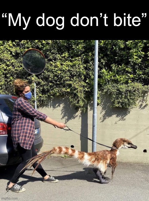 The dog: | “My dog don’t bite” | made w/ Imgflip meme maker