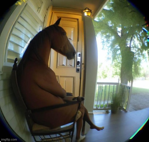 Horse Sitting in a Chair | image tagged in horse sitting in a chair | made w/ Imgflip meme maker