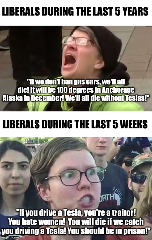 Pathetic little snowflakes are mad at the EV Jesus for not being a raging liberal? So much for inclusion, huh? | LIBERALS DURING THE LAST 5 YEARS; "If we don't ban gas cars, we'll all die! It will be 100 degrees in Anchorage Alaska in December! We'll all die without Teslas!"; LIBERALS DURING THE LAST 5 WEEKS; "If you drive a Tesla, you're a traitor! You hate women!  You will die if we catch you driving a Tesla! You should be in prison!" | image tagged in screaming liberal,triggered liberal,elon musk,strange cars,liberal hypocrisy,crying democrats | made w/ Imgflip meme maker