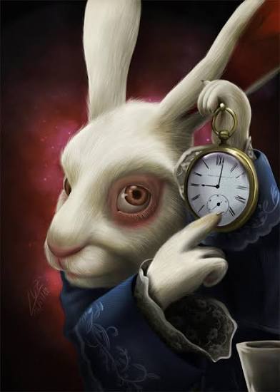 Rabbit pointing at pocket watch Blank Meme Template